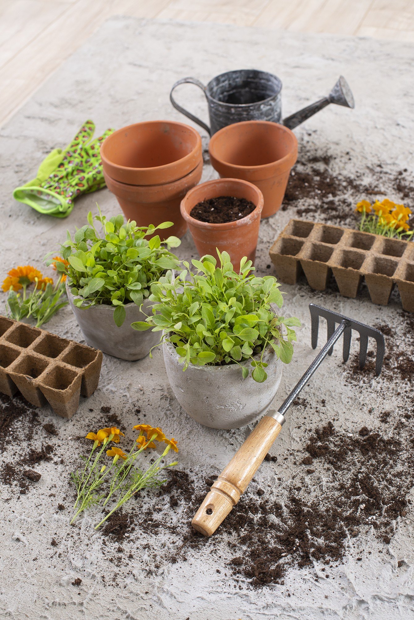 Stanowisko ogrodnicze przygotowane do pracy
