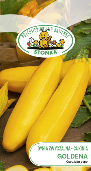 Cukinia Goldena