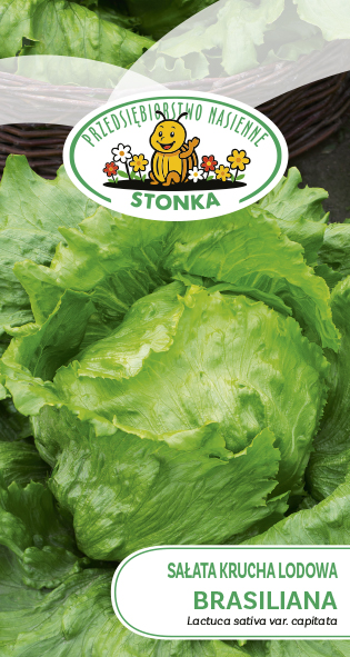 Sałata krucha lodowa Brasiliana