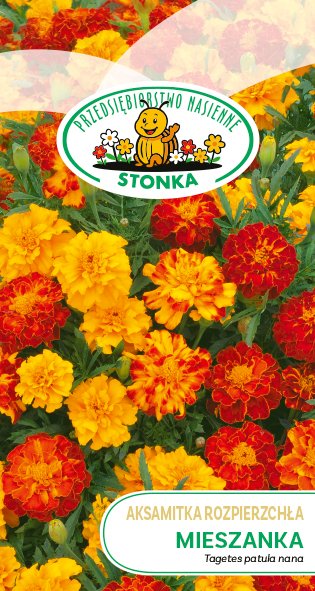 Aksamitka rozpierzchła Mieszanka