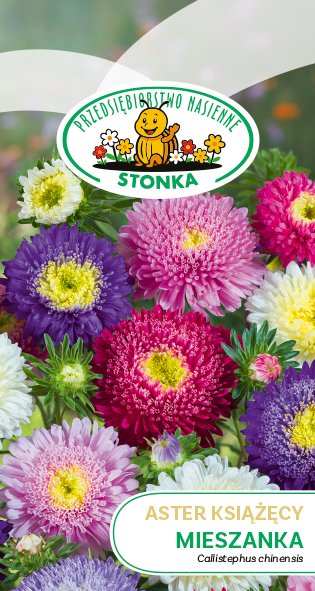 Aster książęcy Mieszanka