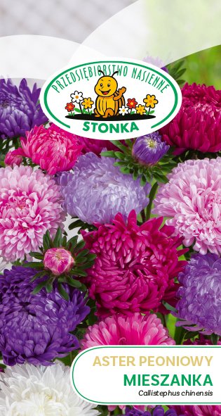 Aster peoniowy Mieszanka