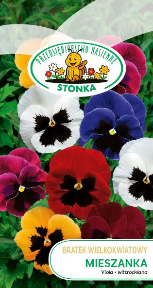 Bratek wielkokwiatowy Mieszanka