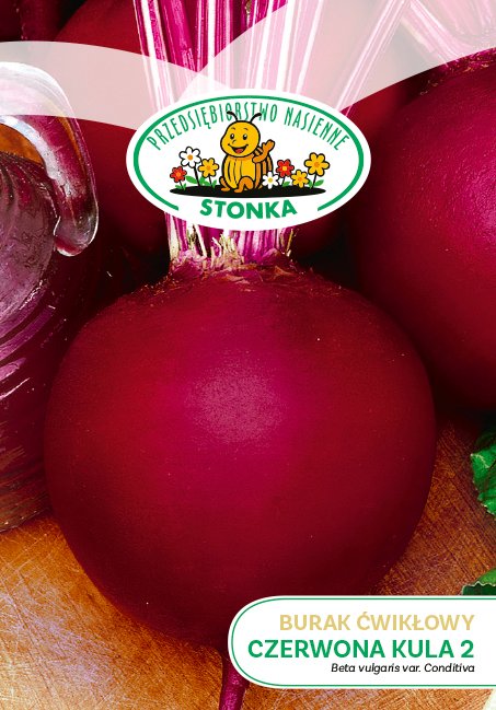 Burak ćwikłowy Czerwona Kula 2
