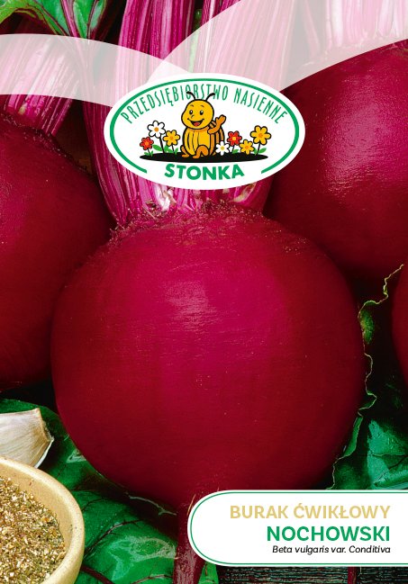 Burak ćwikłowy Nochowski