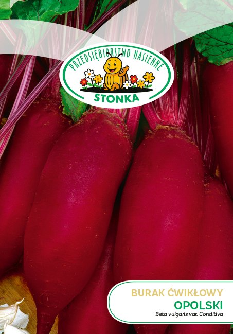 Burak ćwikłowy Opolski