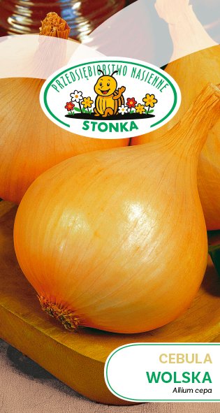 Cebula Wolska