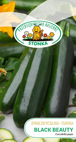 Dynia zwyczajna - cukinia Black Beauty