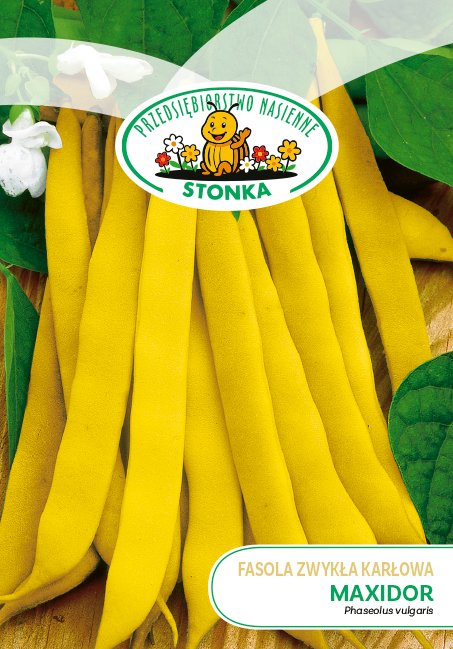 Fasola zwykła karłowa Maxidor