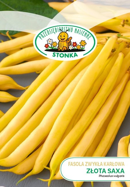 Fasola zwykła karłowa Złota Saxa