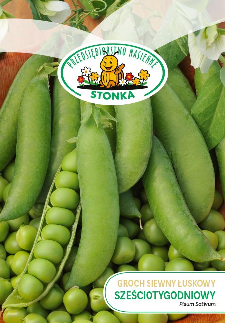 Groch siewny łuskowy Sześciotygodniowy