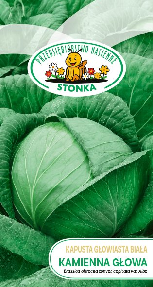 Kapusta głowiasta biała Kamienna Głowa