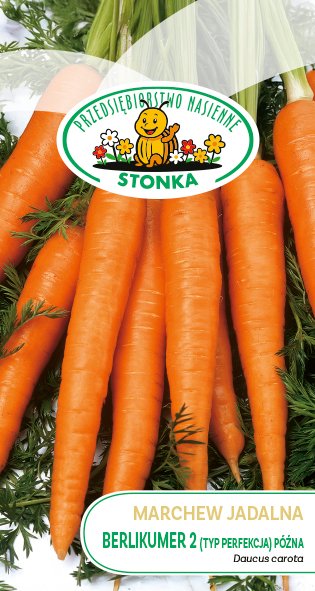 Marchew jadalna Berlikumer 2