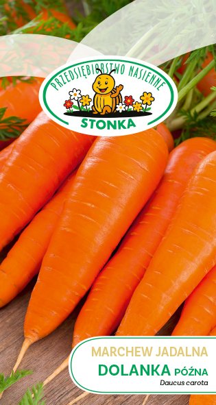 Marchew jadalna Dolanka późna