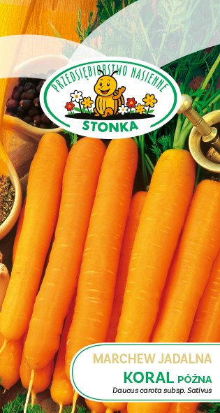 Marchew jadalna Koral późna