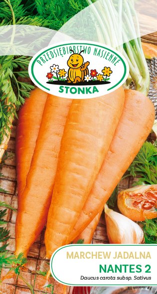 Marchew jadalna Nantes 2