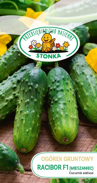 Ogórek gruntowy Racibor F1