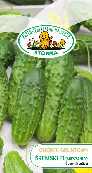 Ogórek gruntowy Sremski F1