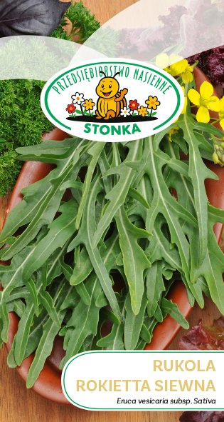 Rokietta siewna / rukola