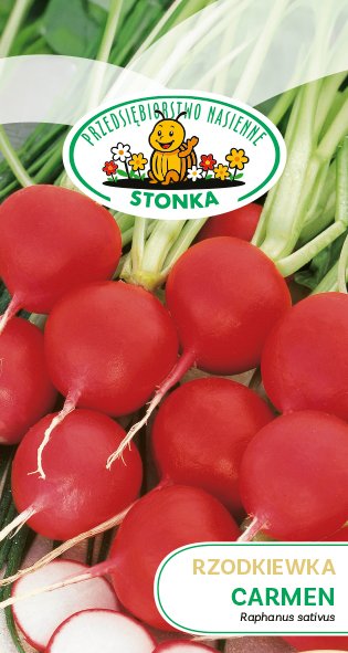 Rzodkiewka Carmen