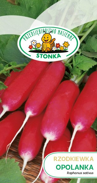 Rzodkiewka Opolanka